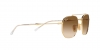 RB3707 Sunglasses