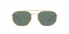 RB3707 Sunglasses