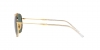 RB3707 Sunglasses