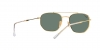 RB3707 Sunglasses
