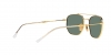 RB3707 Sunglasses