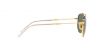 RB3707 Sunglasses