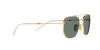 RB3707 Sunglasses