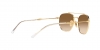 RB3707 Sunglasses