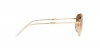 RB3707 Sunglasses