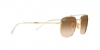 RB3707 Sunglasses