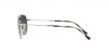 RB3707 Sunglasses