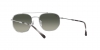 RB3707 Sunglasses