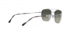 RB3707 Sunglasses