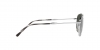 RB3707 Sunglasses