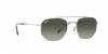 RB3707 Sunglasses