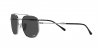 RB3707 Sunglasses
