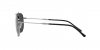 RB3707 Sunglasses