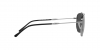 RB3707 Sunglasses