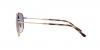 RB3707 Sunglasses