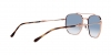 RB3707 Sunglasses