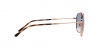 RB3707 Sunglasses