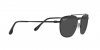 RB3707L Sunglasses