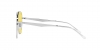 RB3712D Sunglasses