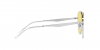 RB3712D Sunglasses