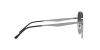 RB3712D Sunglasses