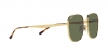 RB3713D Sunglasses