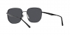 RB3713D Sunglasses