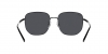 RB3713D Sunglasses