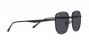 RB3713D Sunglasses