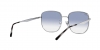 RB3713D Sunglasses