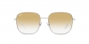 RB3713D Sunglasses