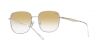 RB3713D Sunglasses