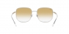 RB3713D Sunglasses