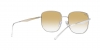 RB3713D Sunglasses