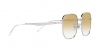 RB3713D Sunglasses