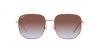 RB3713D Sunglasses