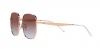 RB3713D Sunglasses