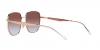 RB3713D Sunglasses