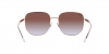 RB3713D Sunglasses