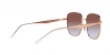RB3713D Sunglasses