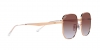 RB3713D Sunglasses