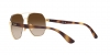 RB3713D Sunglasses