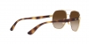 RB3713D Sunglasses