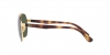 RB3713D Sunglasses