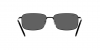 RB3717 Sunglasses
