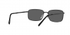 RB3717 Sunglasses
