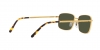 RB3717 Sunglasses