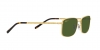 RB3717 Sunglasses