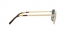 RB3717 Sunglasses