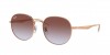 RB3727D Sunglasses